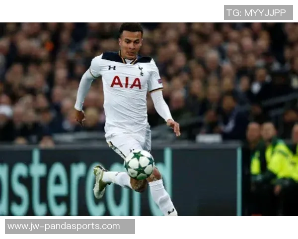 热刺与布赖顿对决数据分析全面解读与比赛统计分析